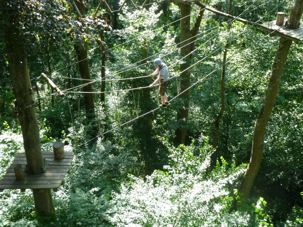 Kletterwald