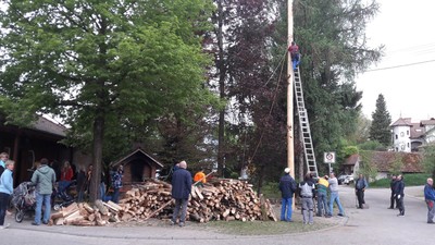 Maibaum aufstellen
